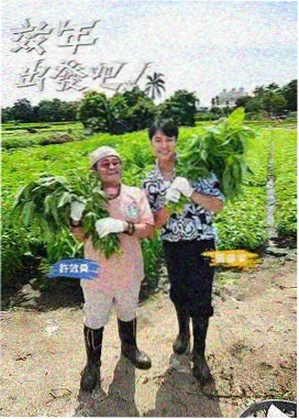 青苹果影院在线观看 极限挑战